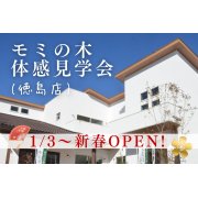 1/3から新春OPEN！徳島店にて「モミの木」体感見学会♪（1/3～5）
